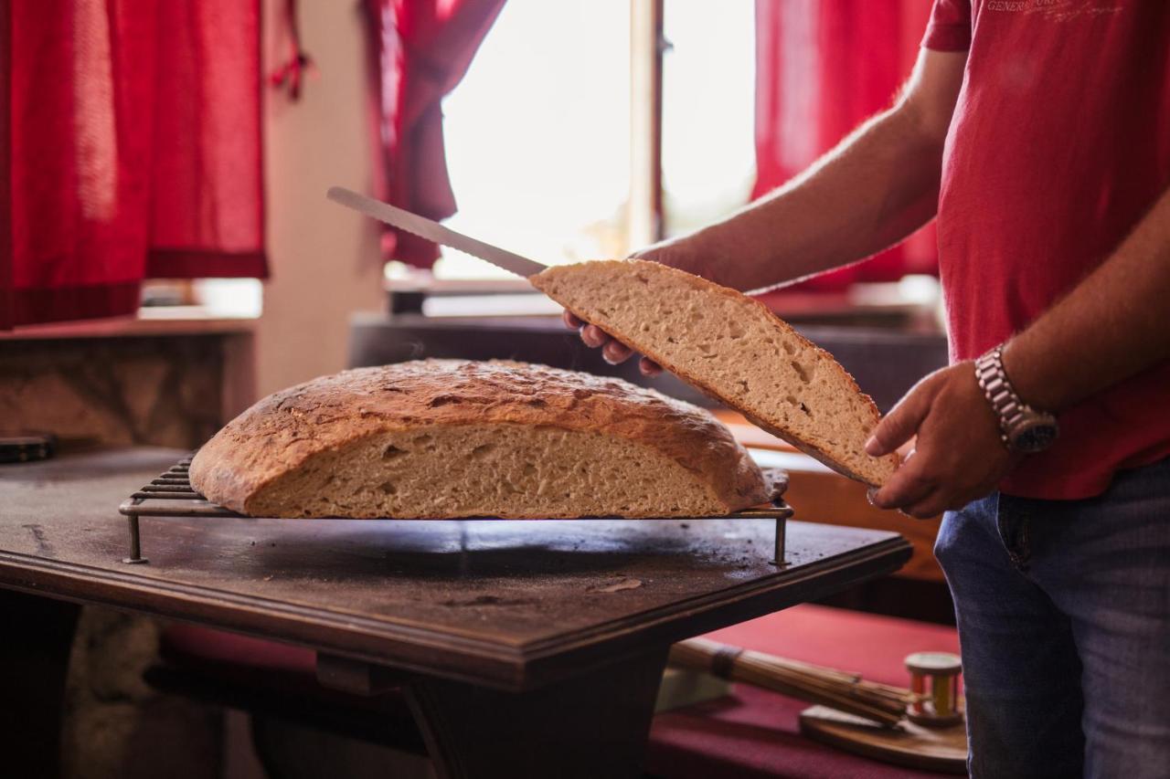 Bed&Breakfast Agroturizam Antunovic Kuna Pelješka エクステリア 写真